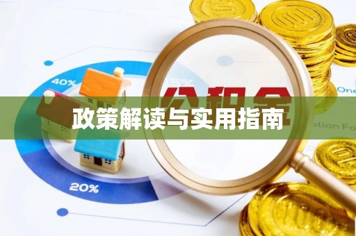 九台政策解读与实用指南