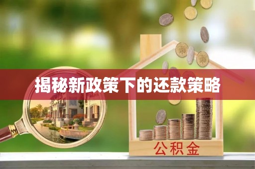 九台揭秘新政策下的还款策略