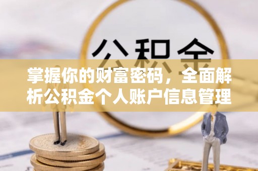九台掌握你的财富密码，全面解析公积金个人账户信息管理与优化