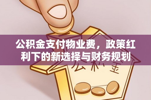 九台公积金支付物业费，政策红利下的新选择与财务规划