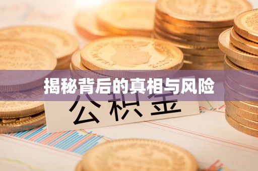 九台揭秘背后的真相与风险