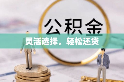 九台灵活选择，轻松还贷