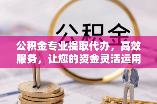 九台公积金专业提取代办，高效服务，让您的资金灵活运用