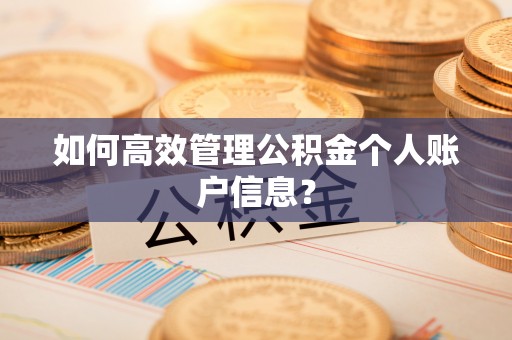 九台如何高效管理公积金个人账户信息？