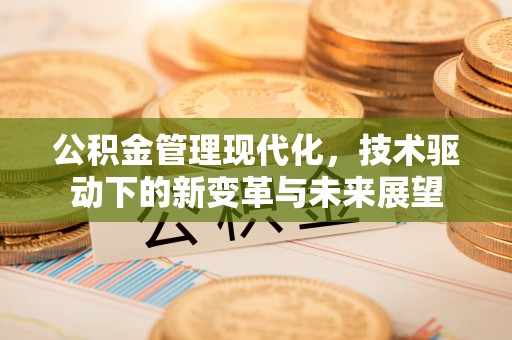 九台公积金管理现代化，技术驱动下的新变革与未来展望
