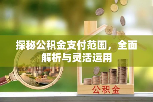 九台探秘公积金支付范围，全面解析与灵活运用