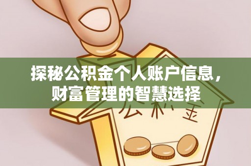 九台探秘公积金个人账户信息，财富管理的智慧选择