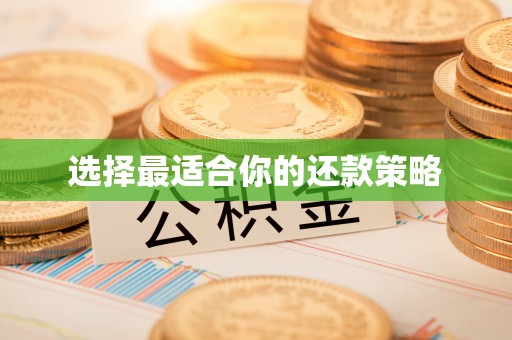九台选择最适合你的还款策略