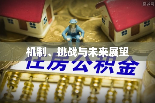 九台机制、挑战与未来展望