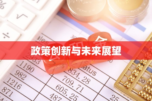 九台政策创新与未来展望